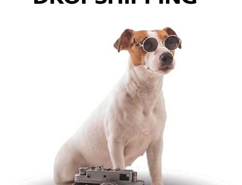 El dropshipping no es magia, es negocio